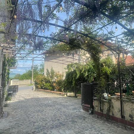 Luxury House Teodora Villa Deva Dış mekan fotoğraf