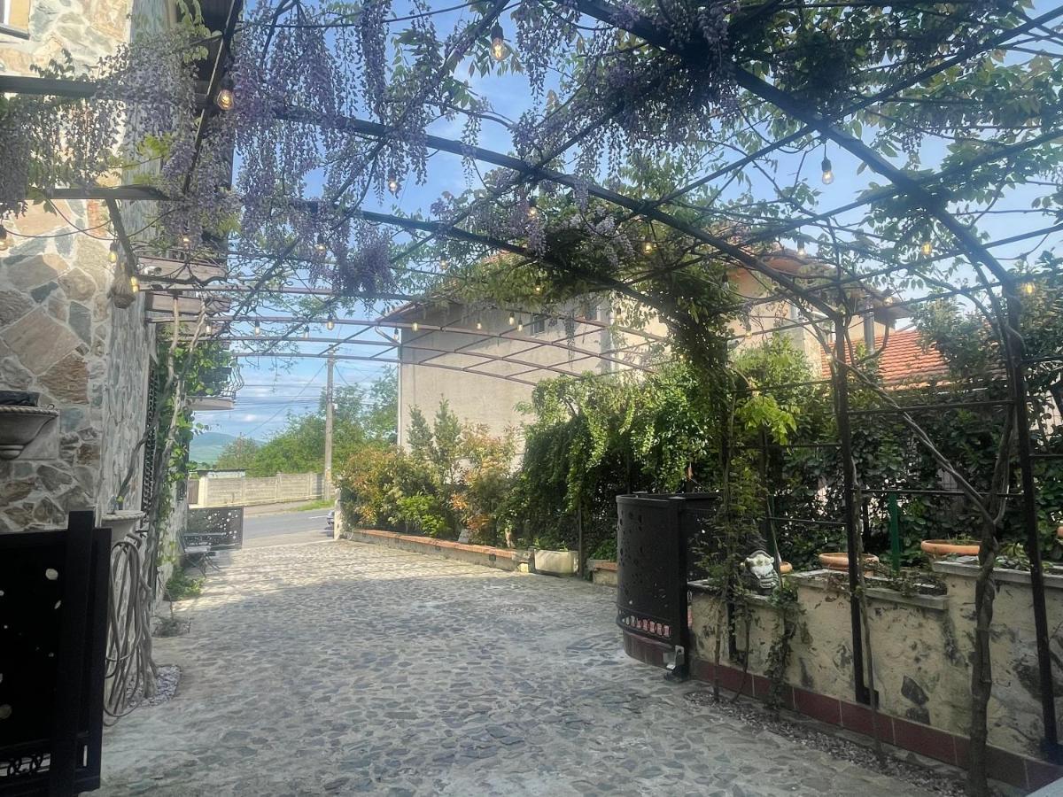 Luxury House Teodora Villa Deva Dış mekan fotoğraf